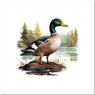 Mallard Posters and Art